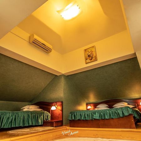 Pensiunea Serena Клуж-Напока Экстерьер фото
